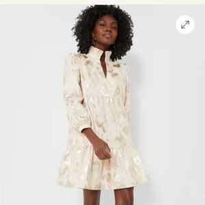 Tuckernuck Champagne Fil Coupe Palmerston Dress Size Small